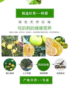 福建平和縣閩慶紅果蔬專(zhuān)業(yè)合作社 品質(zhì)柚子批發(fā)首選